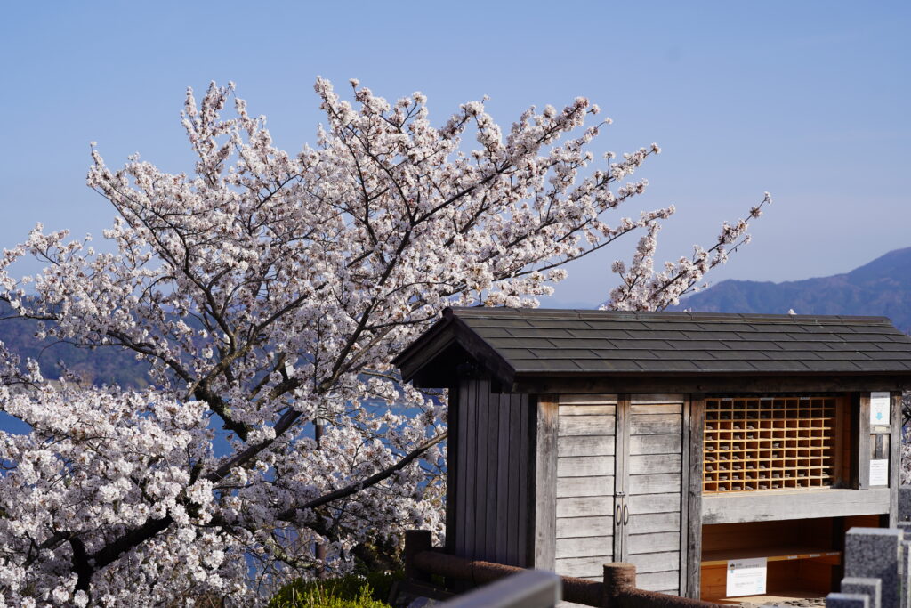 Amanohashidate, Kyoto, Japan.